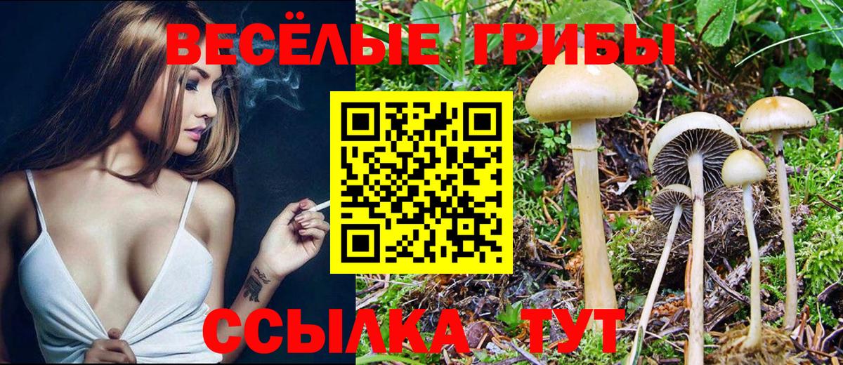 Псилоцибиновые грибы ЛСД  Вход с VPN  Галлюциногенные грибы прущие грибы  Каменск-Уральский 