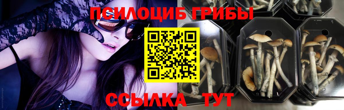 Галлюциногенные грибы GOLDEN TEACHER Каменск-Уральский